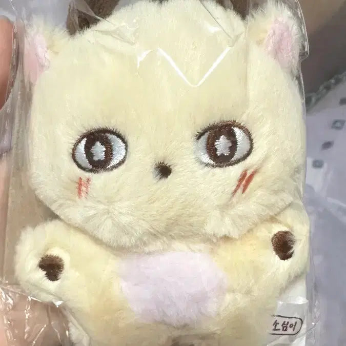 [BUNJANG] Park Jihoon So-sim-i Doll (Photocard Included) - Sealed / 미개봉 박지훈 소심이 (포카포함) 양도합니다
