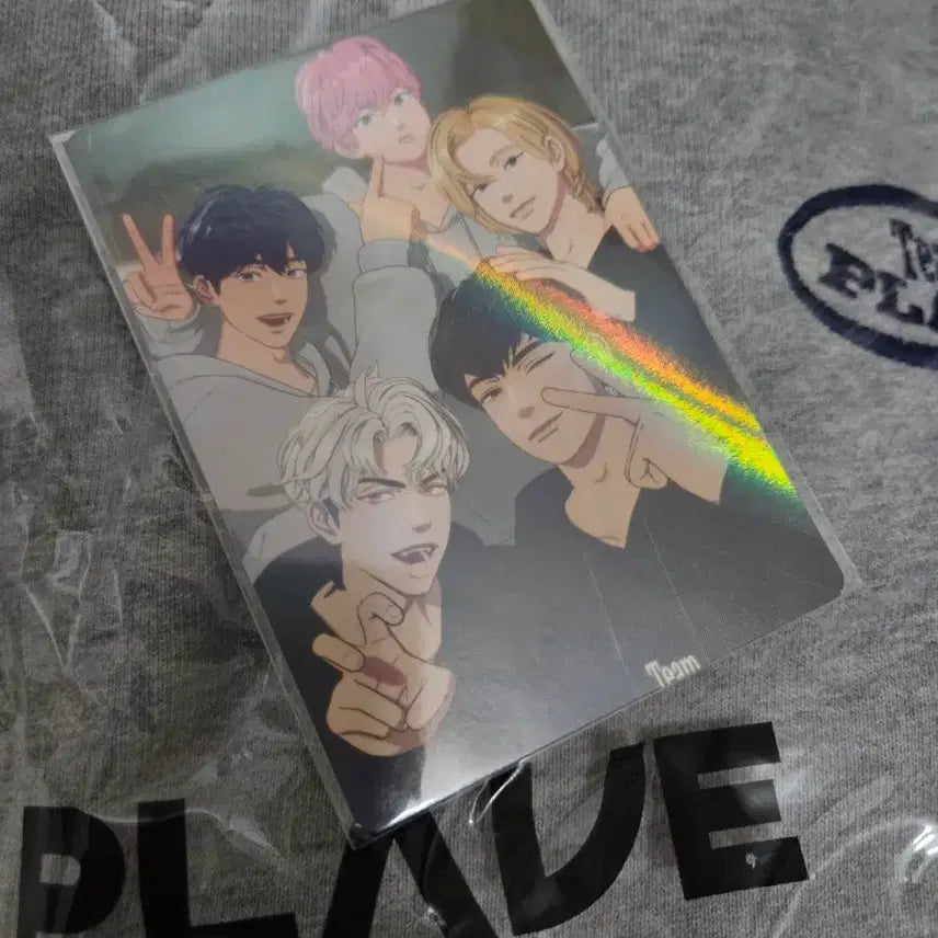 [BUNJANG] Plaive Gray Hoodie L Size + Photocard / 플레이브  후드티(시착만 함) L사이즈 +포카