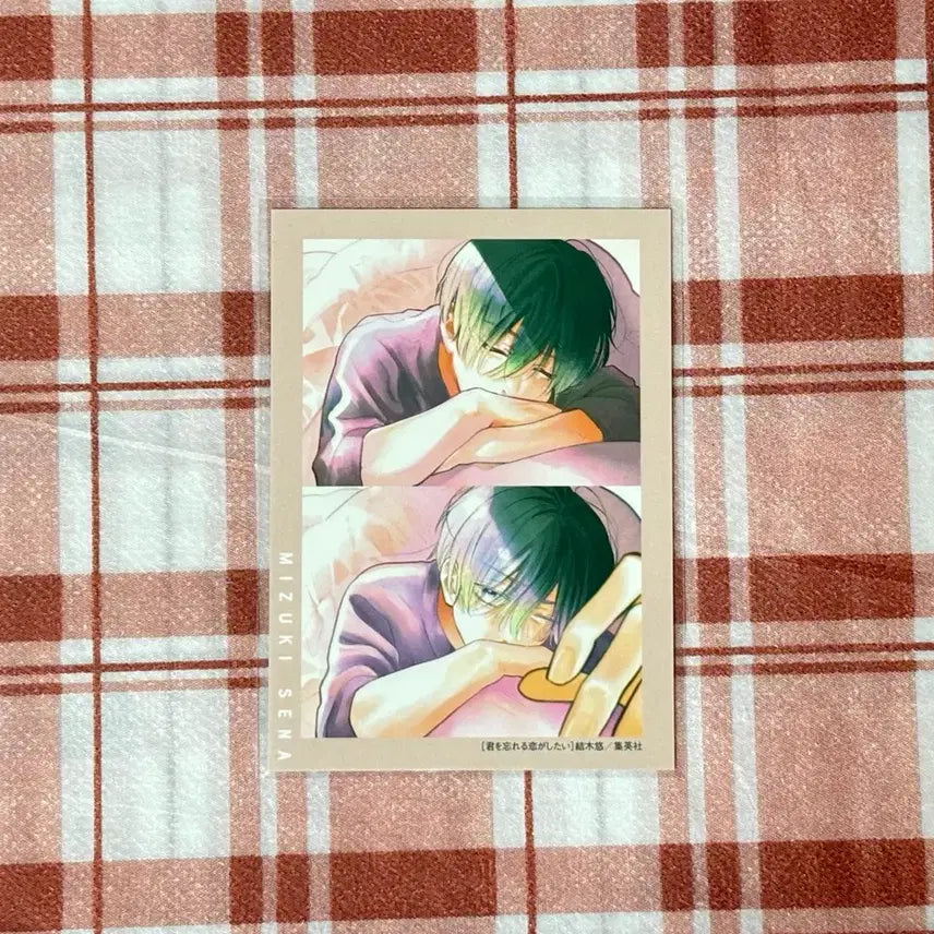 [BUNJANG] Your Love to Forget You Photocard (Bessatsu Margaret Appendix) / 순정만화 너를 잊을 사랑이 하고 싶어 별책 마가렛 부록 포카