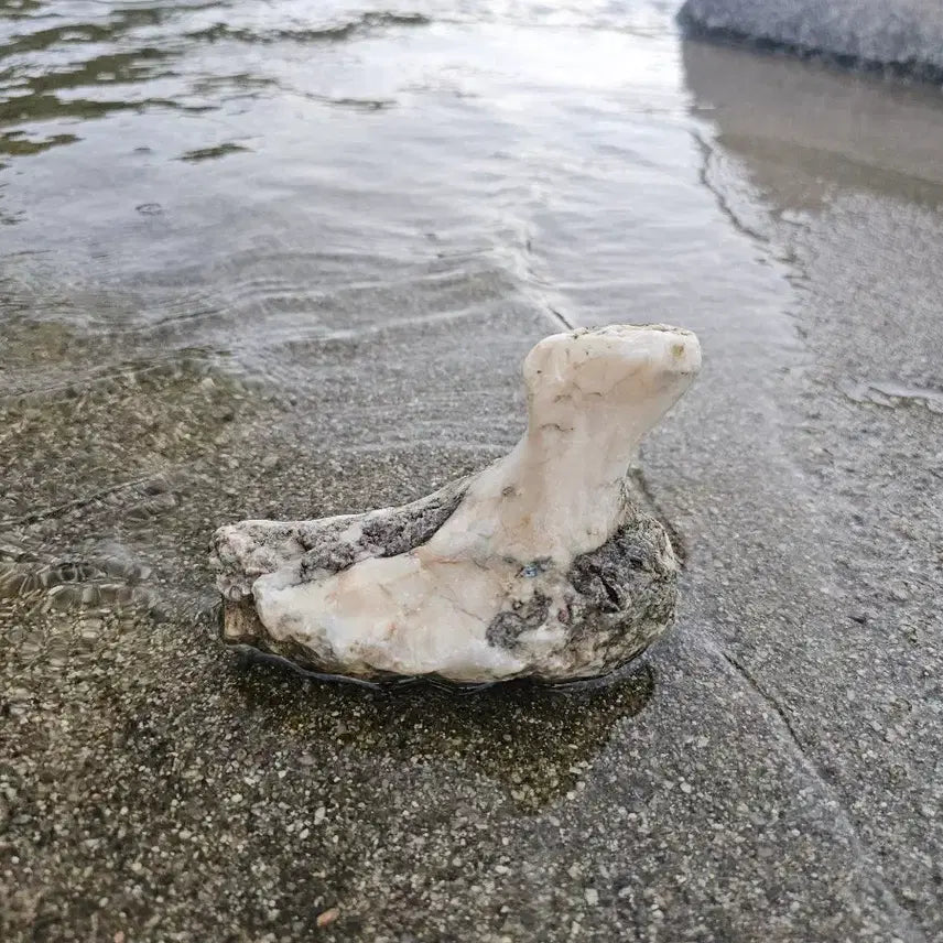 [BUNJANG] Natural Stone Swan Figurine (approx. 15cm) / 수석 자연석 백조 형상석 크기 15센치정도