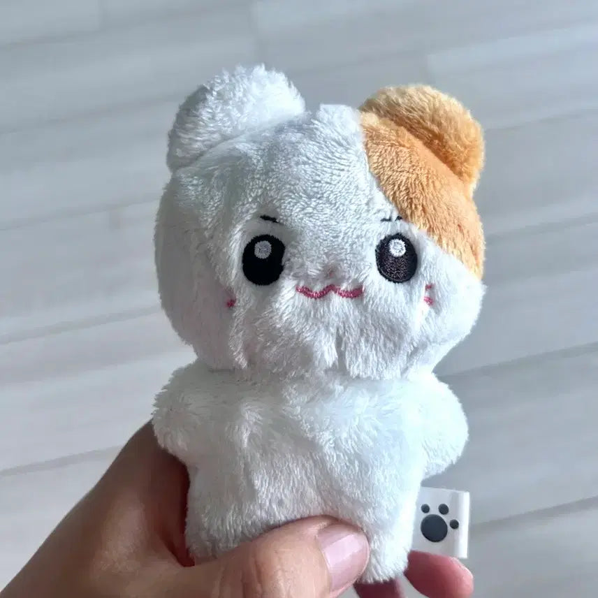 [BUNJANG] Sung Hanbin Doll / 성한빈 인형 급처