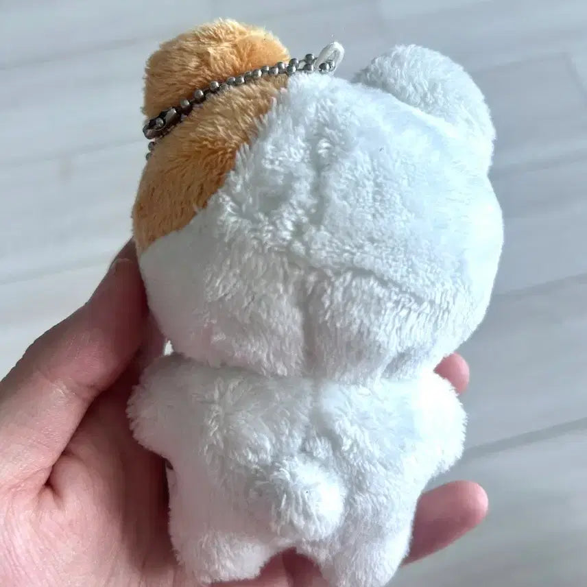 [BUNJANG] Sung Hanbin Doll / 성한빈 인형 급처