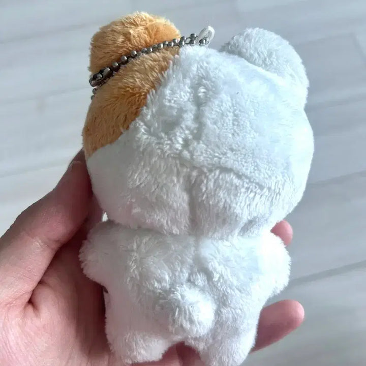 [BUNJANG] Sung Hanbin Doll / 성한빈 인형 급처