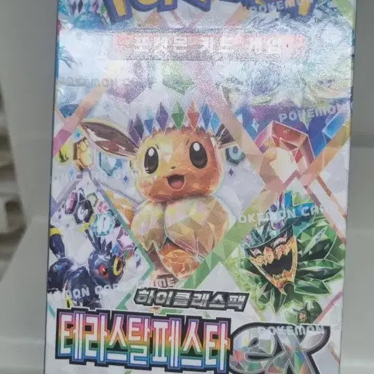 [BUNJANG] Terrastal Festa EX Box / 테라스탈페스타ex 박스