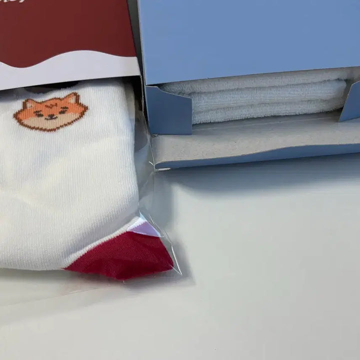 [BUNJANG] Day6 PIER10 Towel &amp; The Present Socks Bundle Set / 데이식스 피어10 수건&amp;더 프레젠트 양말 일괄 판매