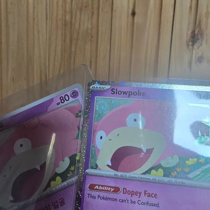 [BUNJANG] Pokemon Slowpoke Promo Album Bundle Set / 포켓몬카드 야돈 프로모 앨범용 일괄 판매합니다.