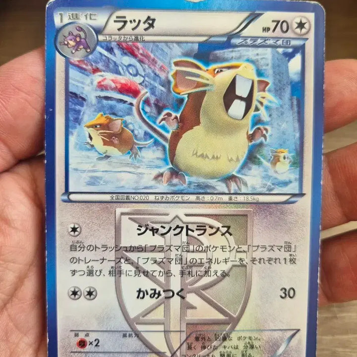 [BUNJANG] Pokemon Card BW8 Plasma Storm Japanese Edition / 일판 레트라 플라즈마단 BW8 포켓몬카드
