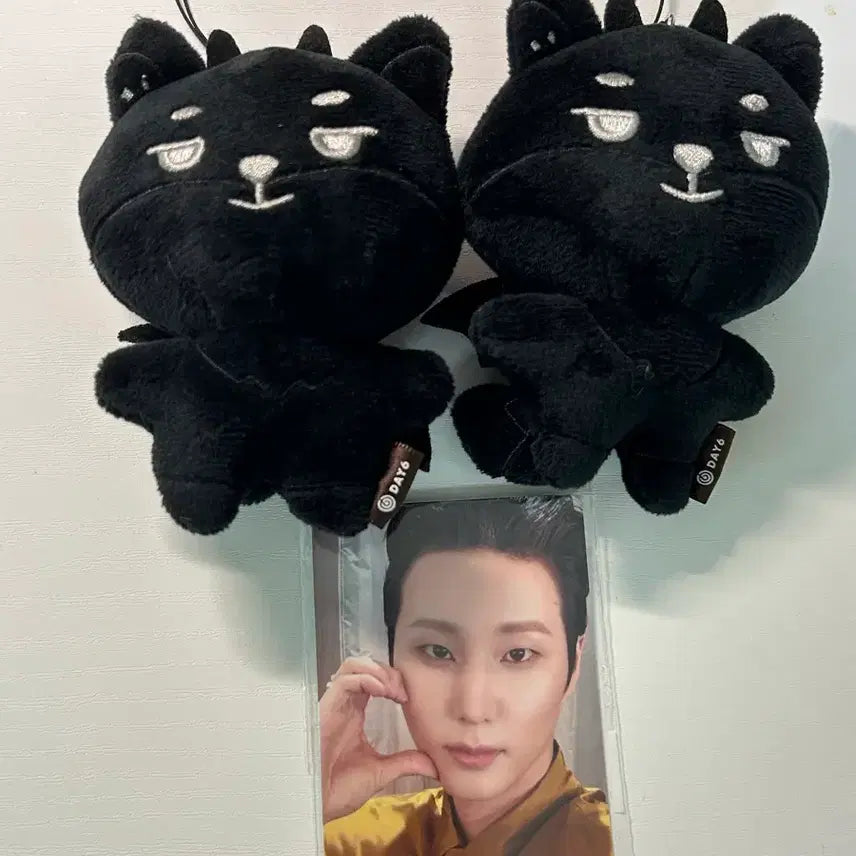 [BUNJANG] Young K Secret Keyring / 영기스트 영케이 시크릿 키링