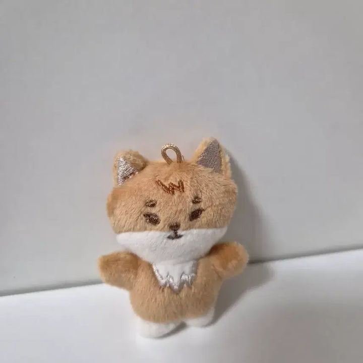 [BUNJANG] Denimals Magnet Set / 데니멀즈 마그넷 세트 케