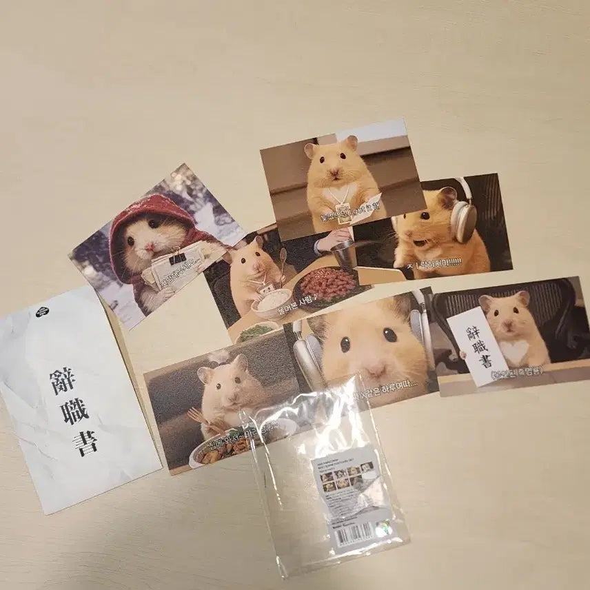 [BUNJANG] Unsealed Hamster "Emotional Instability" Postcard Set / (단순 개봉 새상품) 정서불안 김햄찌 엽서 세트