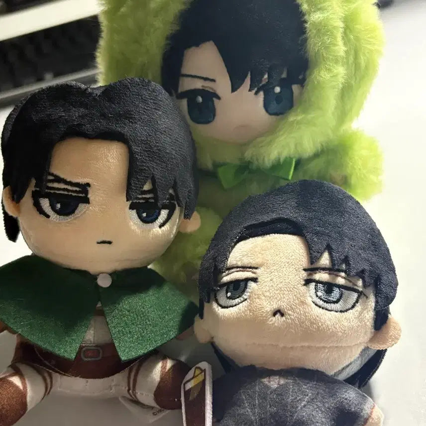 [BUNJANG] Levi Nui Plush Bundle Set / 반택포) 리바이 아커만 인형 누이 일괄 판매 타피냥코 오스와리 펍 포켓코