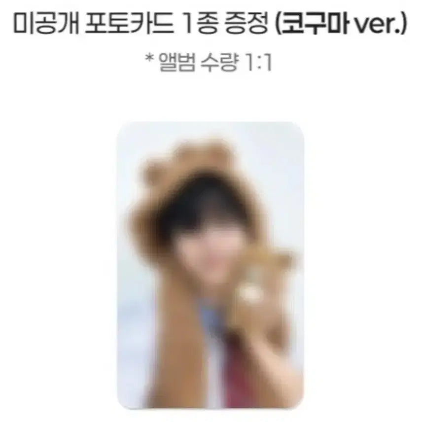 [BUNJANG] Young K Muvieez Koguma Photocard / 영케이 뮤빗 코구마 포카 양도
