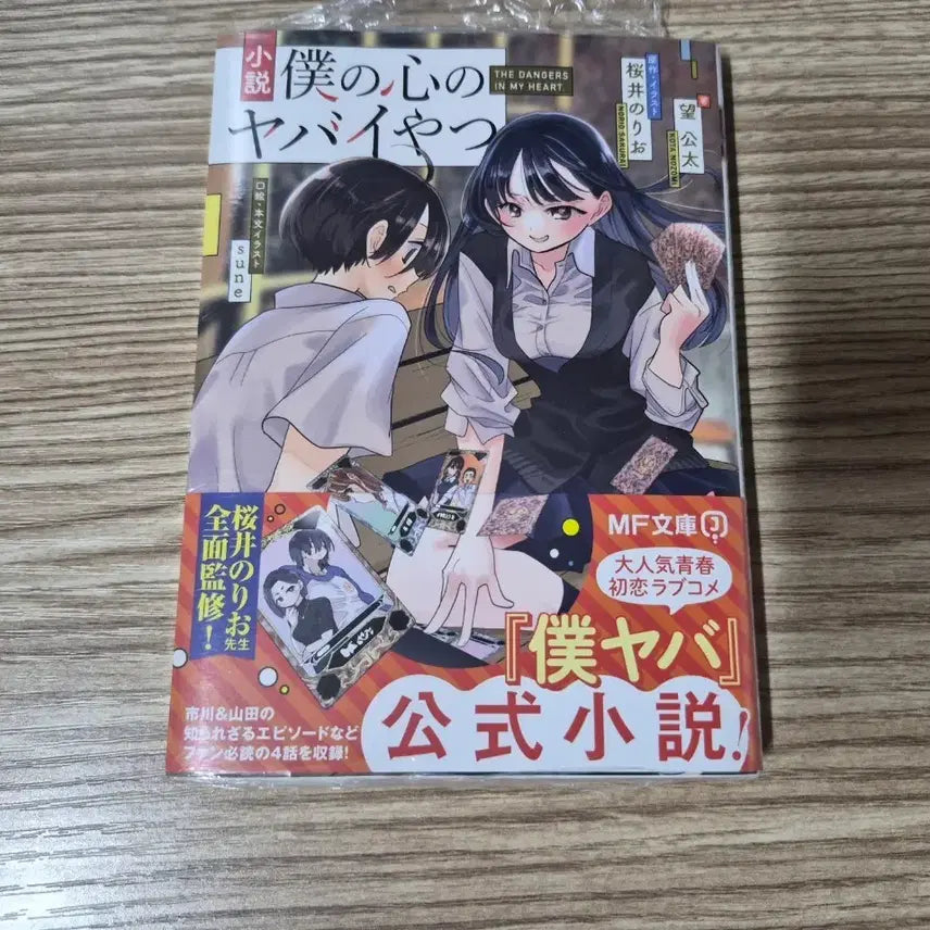[BUNJANG] My Dangerous Girlfriend Official Novel / 내마음의위험한녀석 책