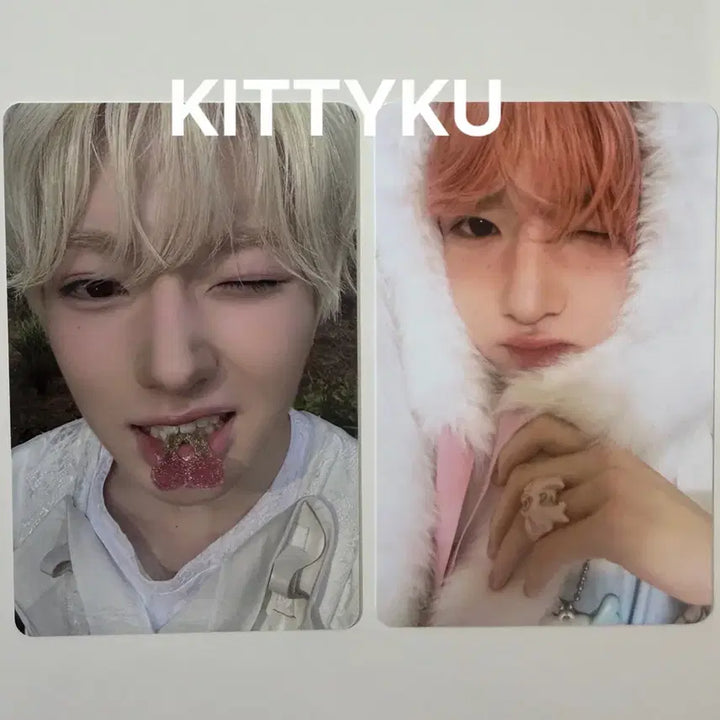 [BUNJANG] NCT WISH Sakuya Photocard Toothbrush Set, Bix Mini Photocard Bundle Set / 엔시티위시 사쿠야 포토카드 칫솔세트, 빅스미니 포카 2종 일괄