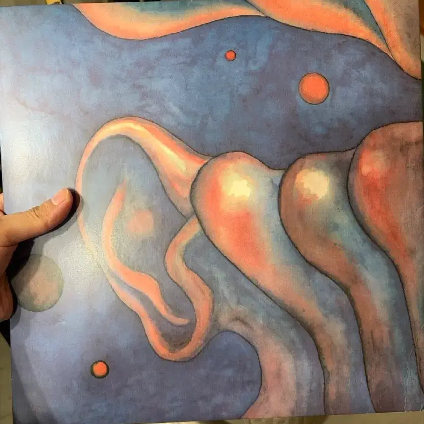 [BUNJANG] King Crimson LP Record / 킹크림슨 lp