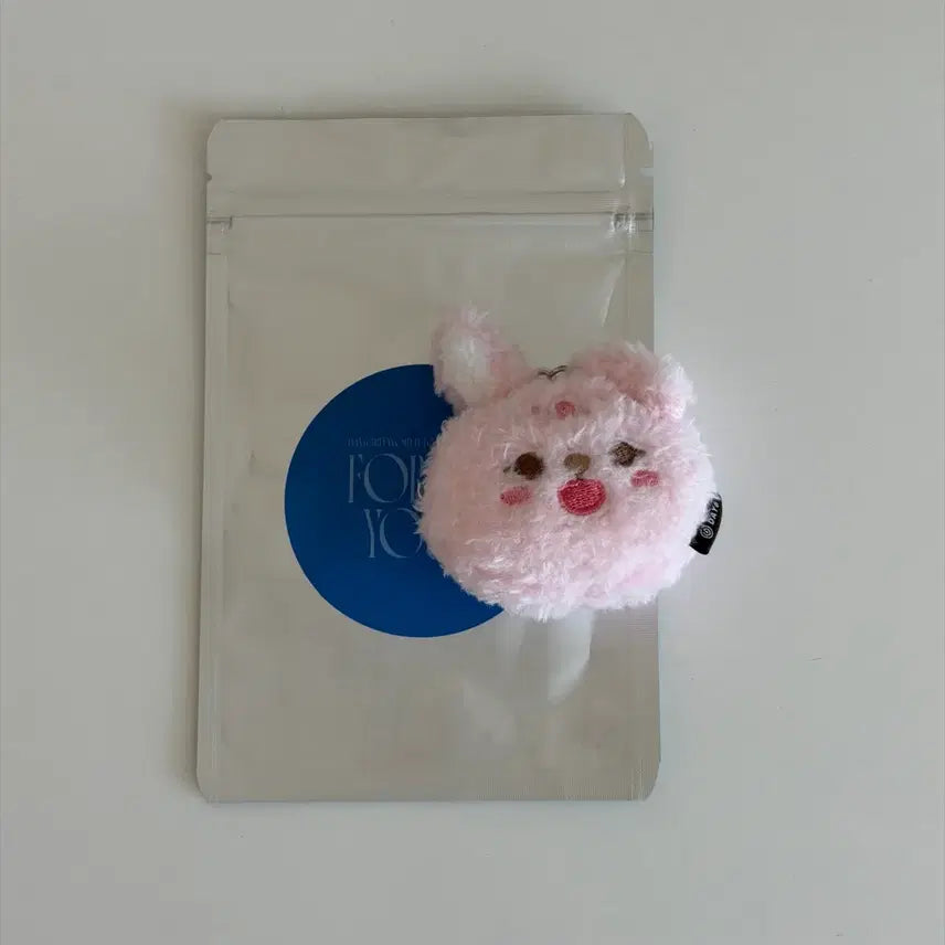 [BUNJANG] Day6 Petit Merz Face Keyring Pilkki / 데이식스 쁘띠멀즈 페이스키링 필끼