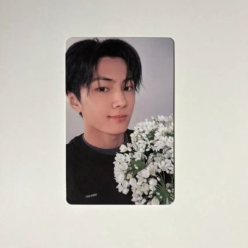 [BUNJANG] ENHYPEN Jay YOI Weverse Japan Photocard / 엔하이픈 제이 YOI 요이 위버스 재팬 포카