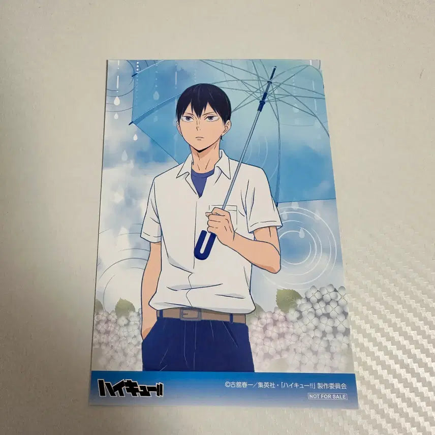 [BUNJANG] Haikyuu!! Animate Exclusive Kageyama Tobio Postcard / 하이큐 애니메이트 특전 카게야마 토비오 엽서 비온뒤 집으로가는길