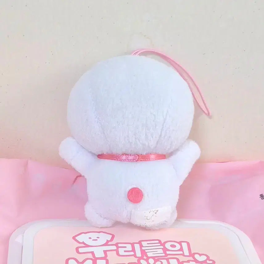 [BUNJANG] Doraemon White &amp; Pink Mascot Keychain / 고전 빈티지 애니 만화 도라에몽 화이트 핑크 마스코트 똥인형 키링