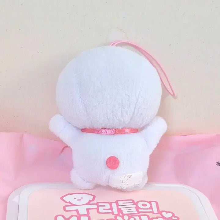 [BUNJANG] Doraemon White &amp; Pink Mascot Keychain / 고전 빈티지 애니 만화 도라에몽 화이트 핑크 마스코트 똥인형 키링