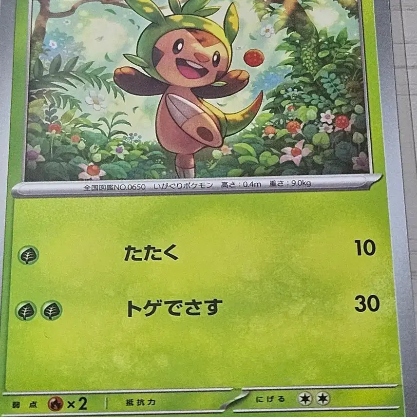 [BUNJANG] Pokemon Card - Torchic - Japanese - 005/083 C / 포켓몬 카드 도치마론 일판 005/083 C