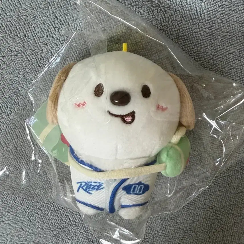 [BUNJANG] RIIZE RIIZES Mongryongie 10cm Plush (Sealed) / (미개봉) 라이즈 리라즈 멍룡이 10cm