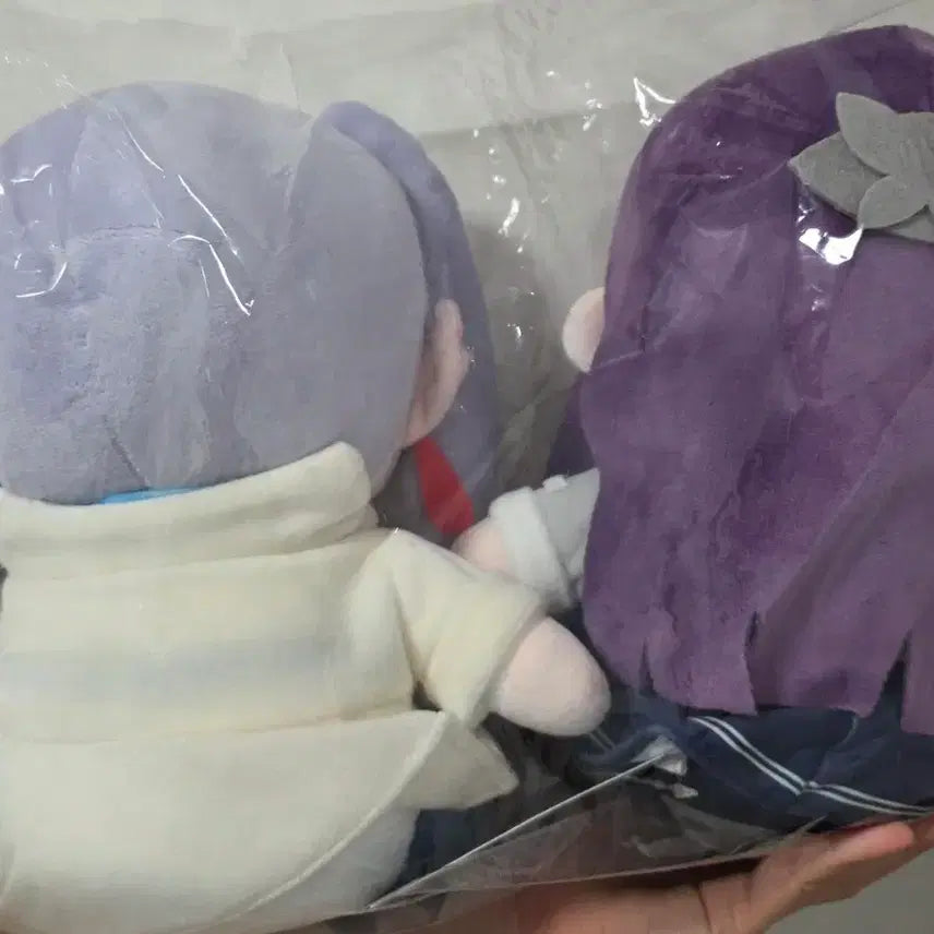 [BUNJANG] Frieren: Beyond Journey&