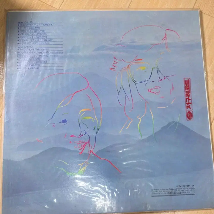 [BUNJANG] Jeong Tae Chun Park Eun Ok LP Record / 정태춘 박은옥 LP