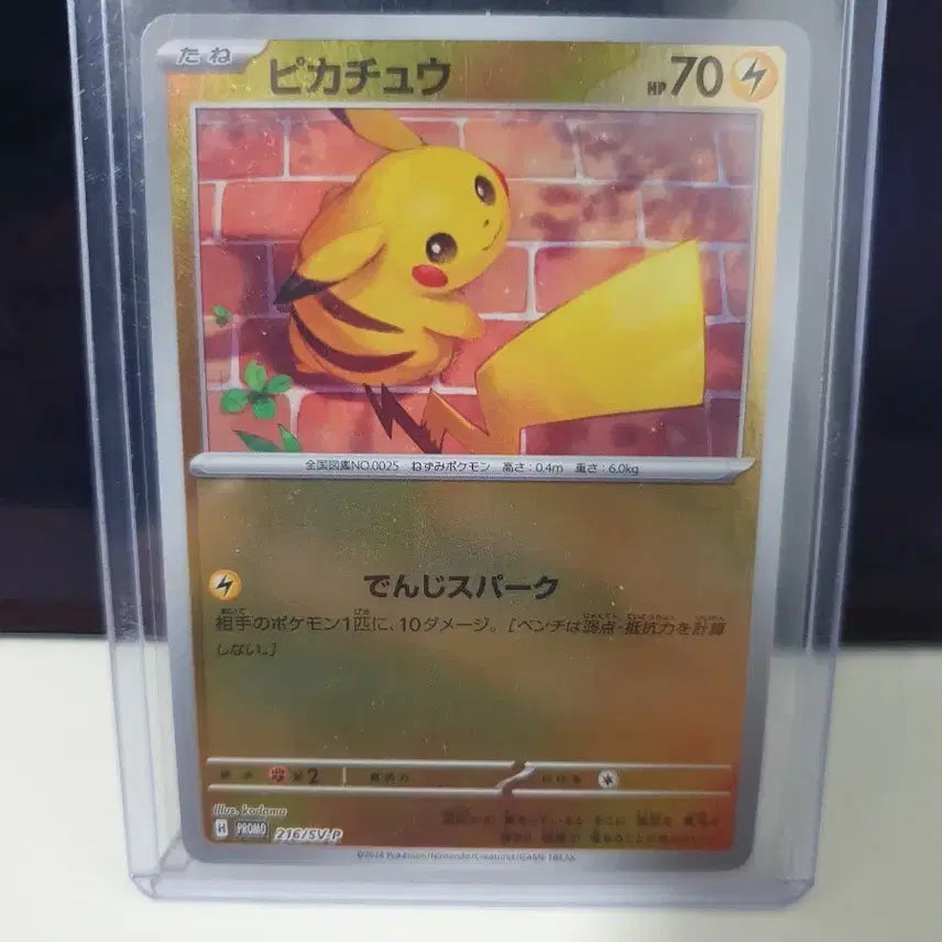 [BUNJANG] Pokemon Card Pikachu 216/SV/P / 포켓몬 카드 피카츄 216/SV/P