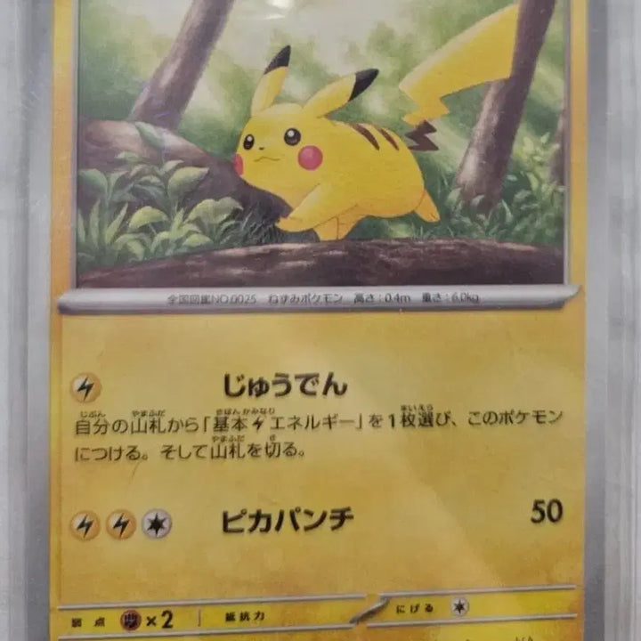[BUNJANG] Pokemon Card Hatler, Pikachu / 포켓몬카드 모자츄, 피카츄 판매합니다
