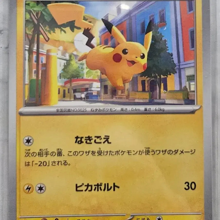 [BUNJANG] Pokemon Card Hatler, Pikachu / 포켓몬카드 모자츄, 피카츄 판매합니다