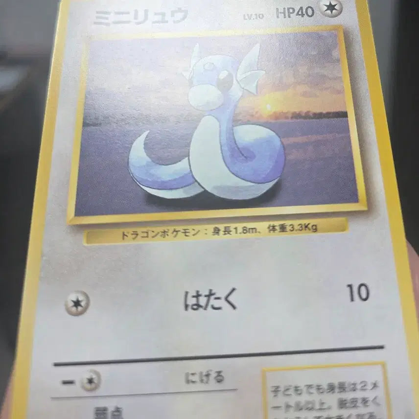 [BUNJANG] Minyong 1996 Old Bag Card / 1996년 미뇽 올드백 카드