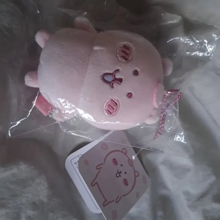 [BUNJANG] Nagano Market Cherry Blossom Nongdamgom Plush / 성수 나가노마켓 벚꽃 농담곰