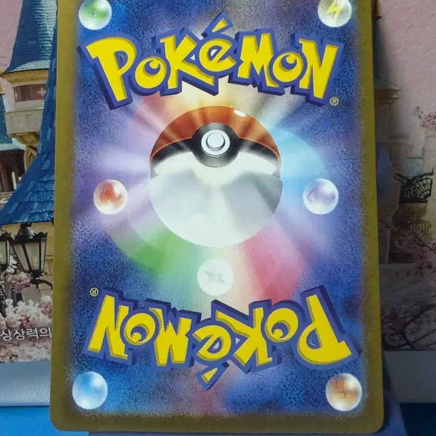 [BUNJANG] Japanese Pokemon Card Kacy &amp; Yungoos Monster Ball Set / 일판 포켓몬카드 캐이시, 윤겔라 몬스터볼 세트 앨범용