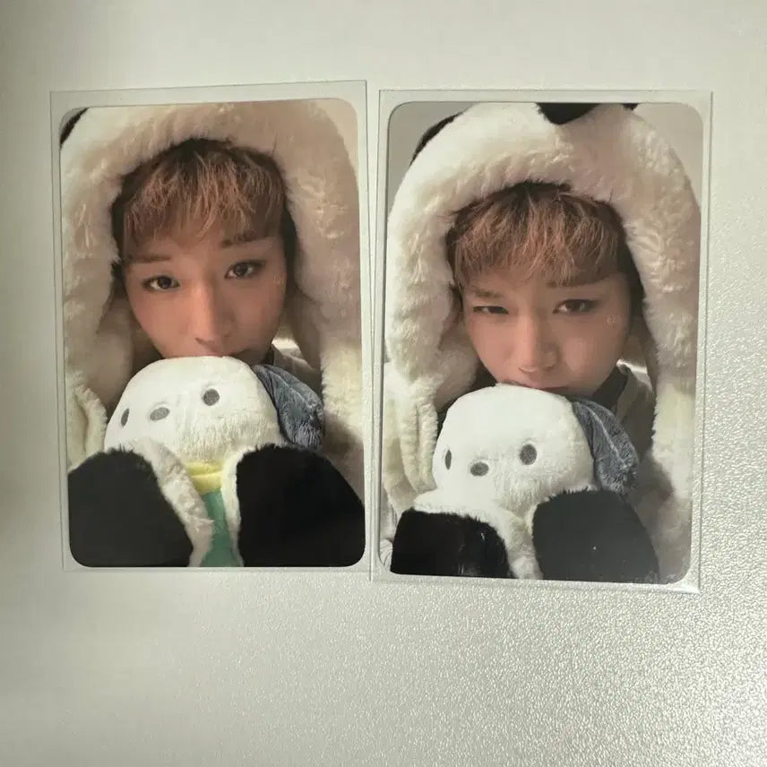 [BUNJANG] Park Jihoon Beatroad Pochacco Photocard / 박지훈 비트로드 포챠코 포카