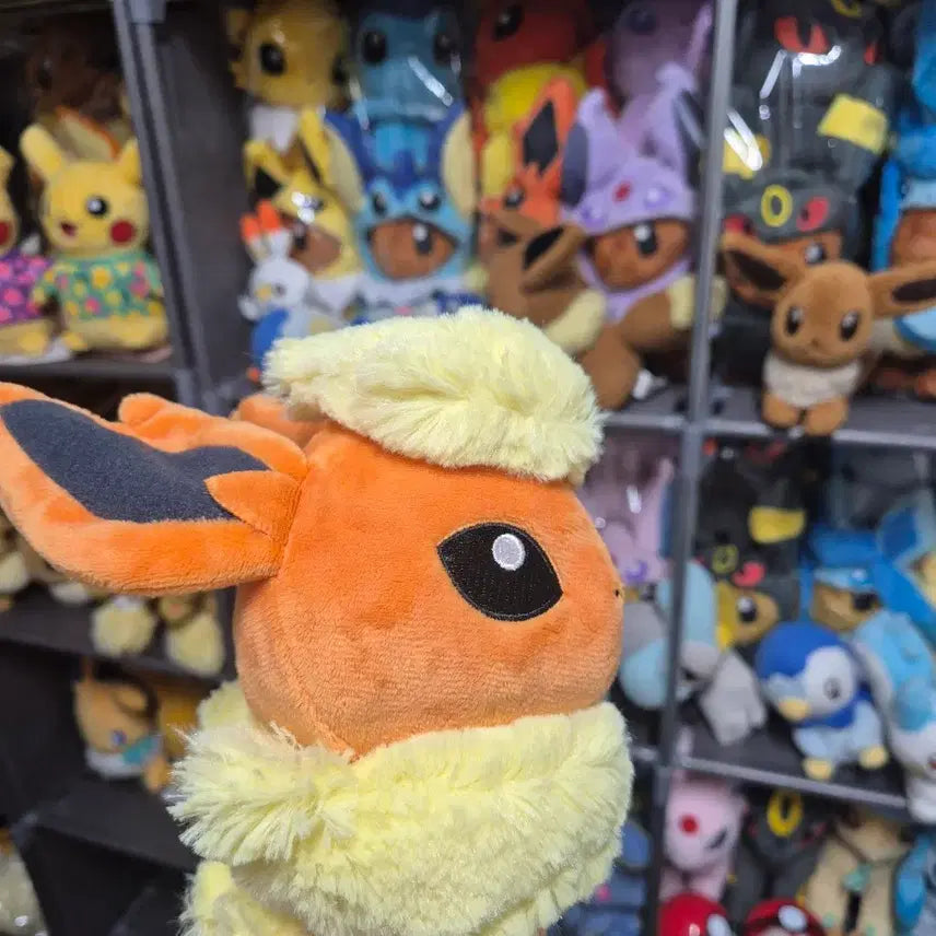 [BUNJANG] Pokemon Dolls Booster Plush Medium / 포켓몬 돌즈 부스터 인형 중형