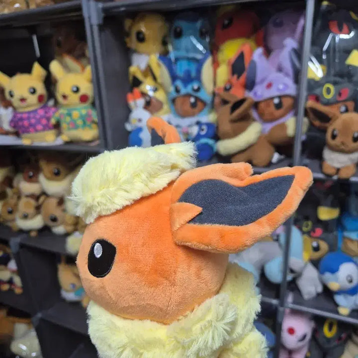 [BUNJANG] Pokemon Dolls Booster Plush Medium / 포켓몬 돌즈 부스터 인형 중형