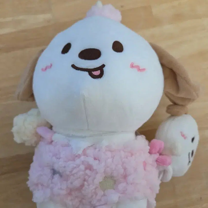 [BUNJANG] RIIZE Anton 20cm Doll / 라이즈 20cm 인형_앤톤