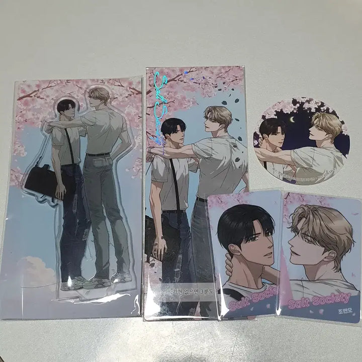 [BUNJANG] Horizon Noctea Salt Society Acrylic Stand, Photocard, Sticker Bundle Set / 호라이즌 녹티아 솔소티 솔트 소사이어티 아크릴 포카 외 일괄 양도