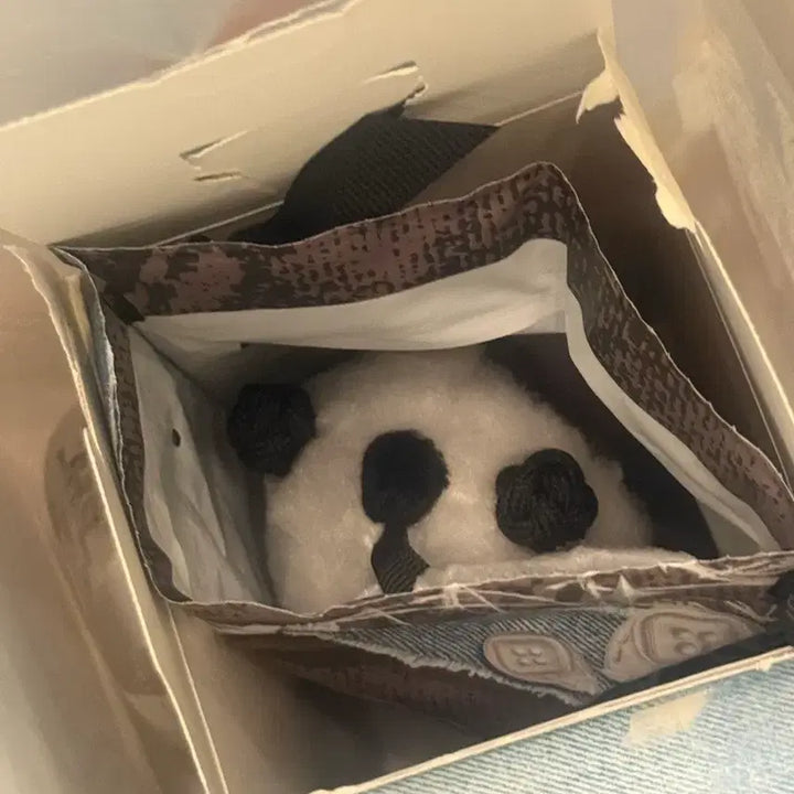 [BUNJANG] Skullpanda Off Mode Secret Figure / 스컬판다 오프모드 시크릿