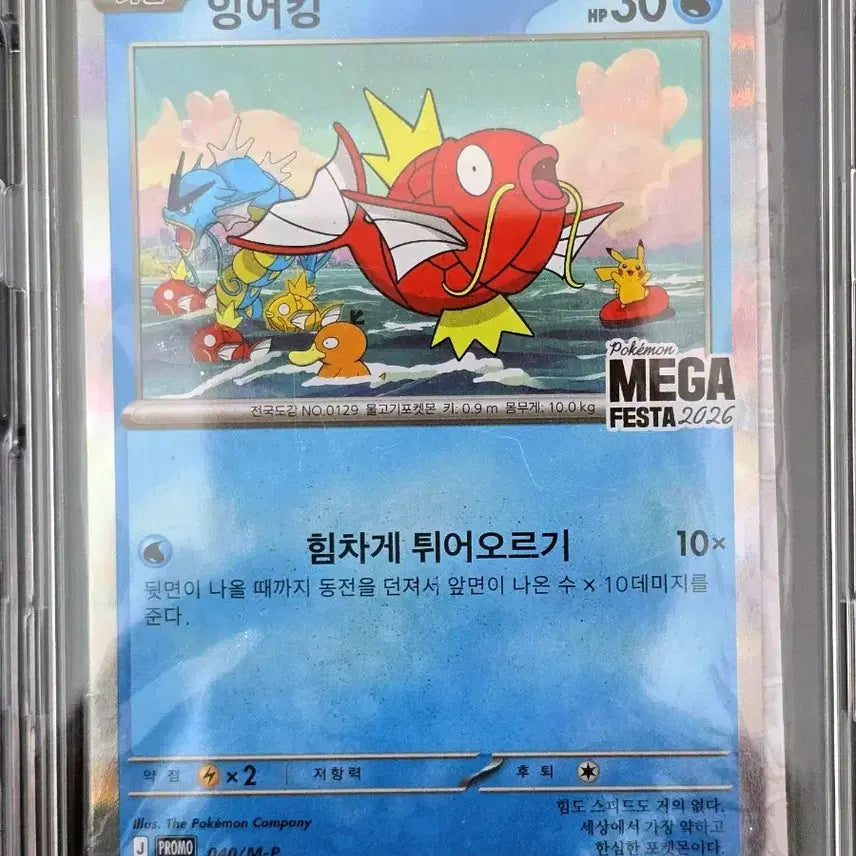 [BUNJANG] Gyarados Promotional Card (Partially Opened) / 잉어킹 프로모 3개 교환 및 팝니다.(반개봉)