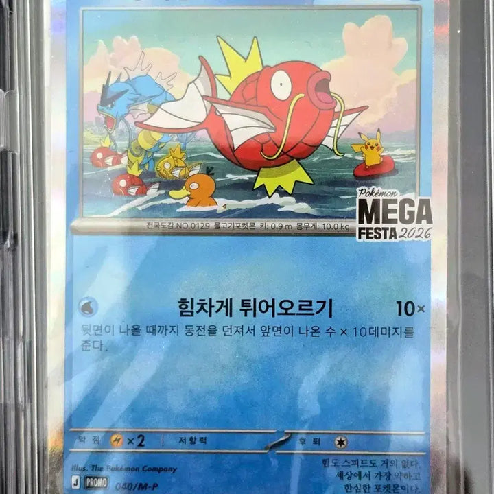 [BUNJANG] Gyarados Promotional Card (Partially Opened) / 잉어킹 프로모 3개 교환 및 팝니다.(반개봉)