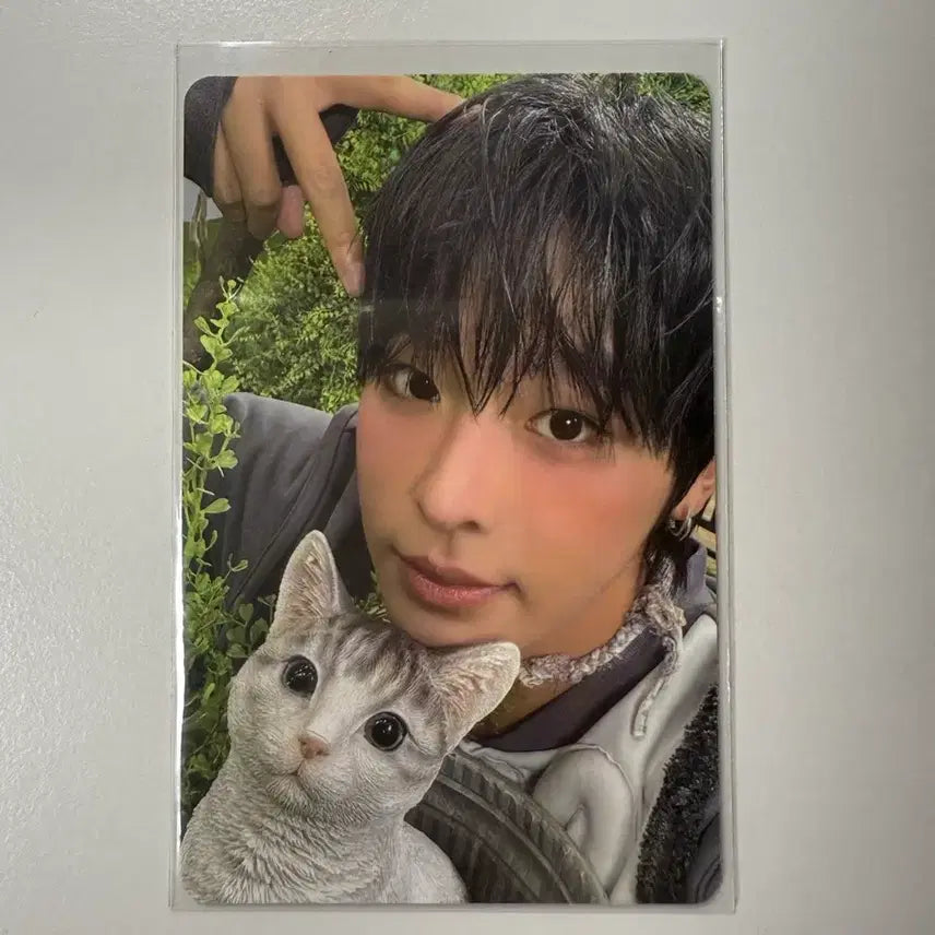 [BUNJANG] NCT WISH Riku Color Jewel Photocard / 엔시티 위시 컬러 쥬얼 리쿠 포카