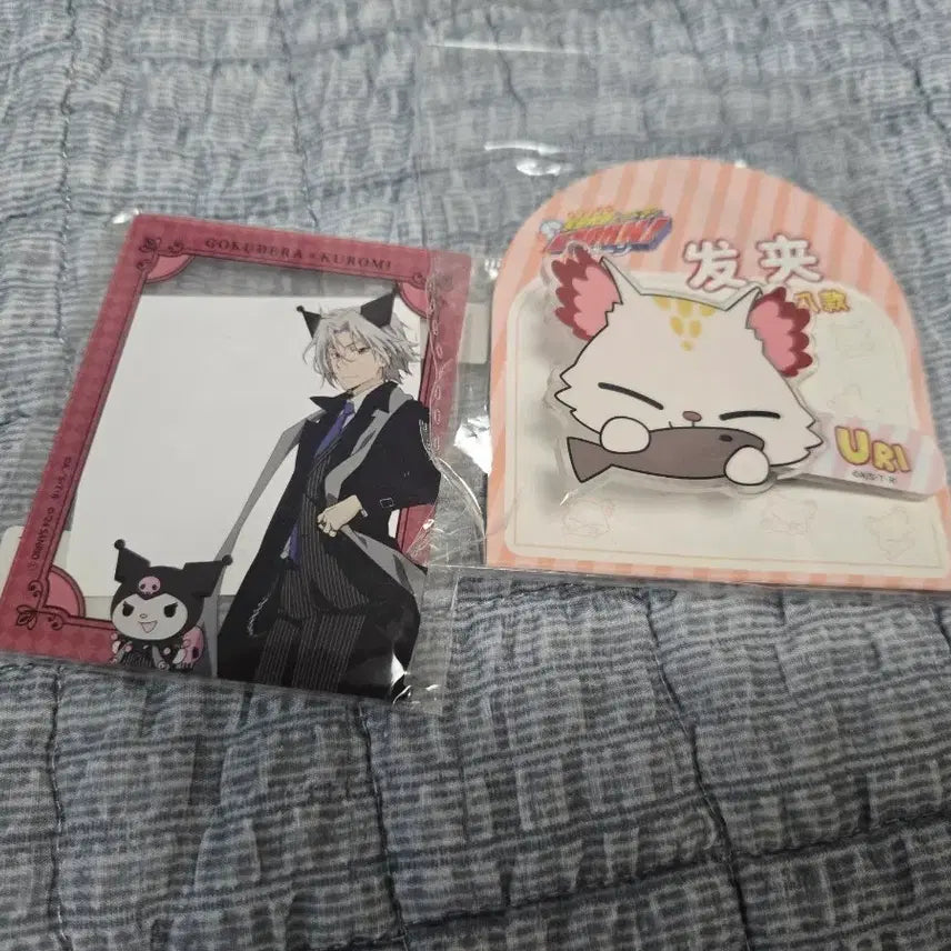 [BUNJANG] Katekyo Hitman Reborn Gokudera Sanrio Acrylic Standee &amp; Hairpin Bundle / 가정교사 히트맨 리본 고쿠데라 + 우리 굿즈 판매
