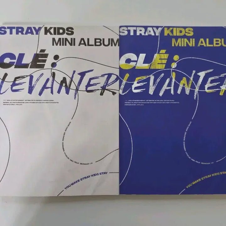 [BUNJANG] Stray Kids Mini Album Cle: Levanter / 스트레이키즈 미니앨범 Cle :  LEVANTER