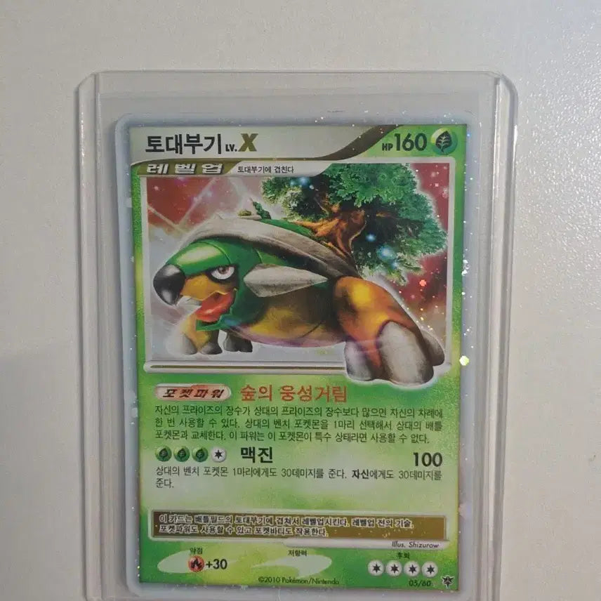 [BUNJANG] Pokemon 2010 DP Torterra LV.X Card / 모험의 시작 포켓몬 2010 dp 토대부기 LV.X 카드 팝니다.8