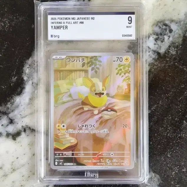 [BUNJANG] Pokemon Card Pawmot AR Japanese Edition / (일판)포켓몬 카드 멍파치 ar