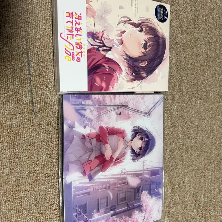 [BUNJANG] Saekano Blu-ray Megumi Kato Acrylic Frame / 사에카노 블루레이 메구미 아크릴 액자 팝니다