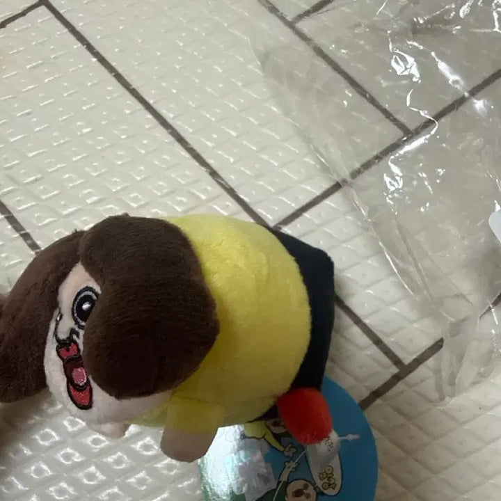[BUNJANG] Bbangbbangyi Okji Magnet Doll Keyring / 빵빵이 옥지 마그넷 인형 키링 (디다샷 증정품)