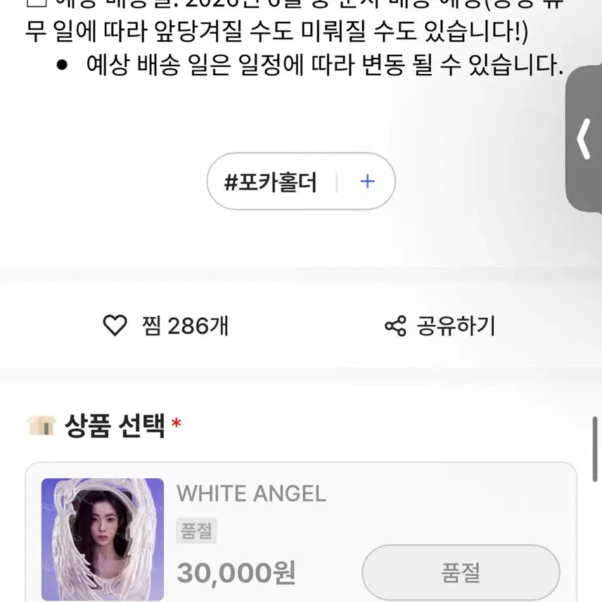 [BUNJANG] RAN White Angel Wings Photocard Holder / ran 포카홀더 화이트 엔젤 날개 날개홀더